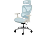 ThunderX3 XTC Chroma White