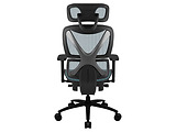 ThunderX3 XTC Chroma Black