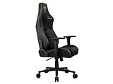 Cougar Defensor Black