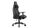 Cougar Defensor Graphite