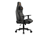 Cougar Defensor Graphite