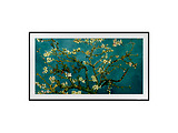 Samsung QE55LS03FAUXUA / 55 QLED The Frame