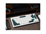 Keychron Q1 HE QMK