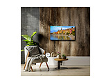 Thomson 43FG2S14 / 43 FullHD Google TV
