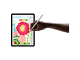 Apple iPad Air 5G / 11 Retina / M3 / 8GB / 1TB Grey
