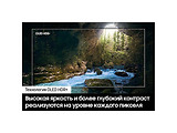 Samsung QE77S90FAEXUA