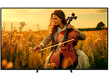 SONY K55XR55B