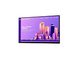 DELL P2422H / 23.8 IPS FullHD Without Stand