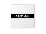 Aqara Display Switch V1