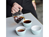 HARIO V60 Range Server 360ml / XGSR-36-TB