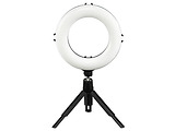 HAMA SpotLight Smart 80 II