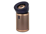 Dyson BP04