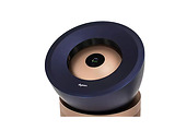 Dyson BP04