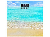 Brock BS 002