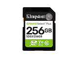 Kingston SDS3/256GB