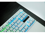 Razer RZ03-04981700-R3M1 / US Layout