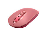 A4Tech Wireless FG20