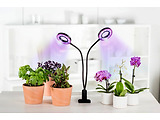 Xavax Circle LED Plant / 112696 Black