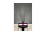 Dyson V16 Piston Animal